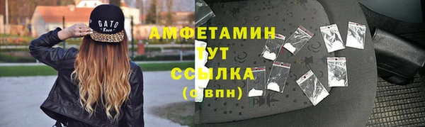 сатива Верея