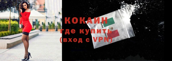 сатива Верея