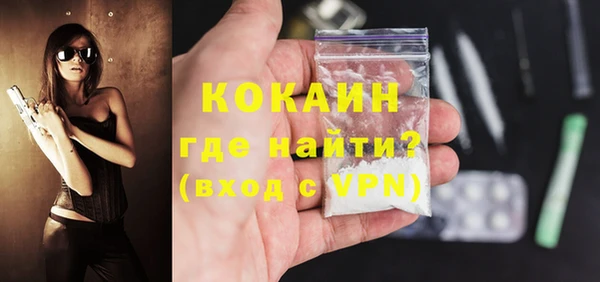 сатива Верея