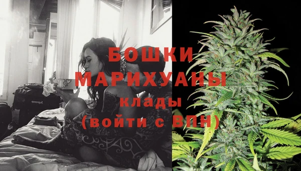 сатива Верея