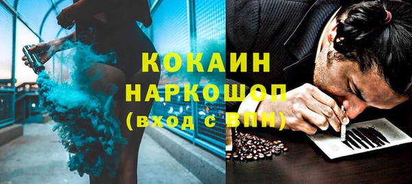 сатива Верея