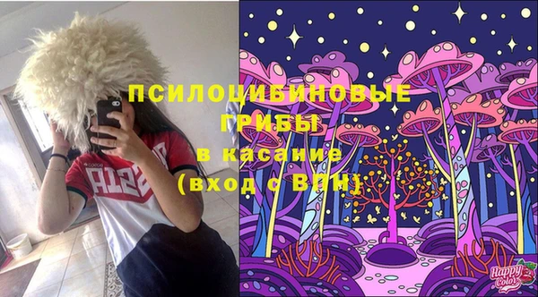 сатива Верея