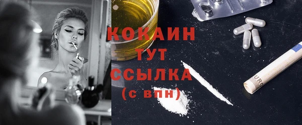 сатива Верея